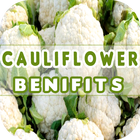 Cauliflower Benefits icône