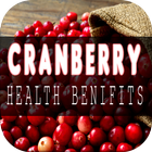 Cranberry Benefits icon