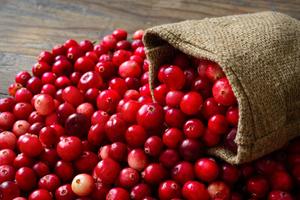 Cranberry Benefits 截图 3