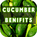 Cucumber Benefits APK