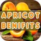 Apricot Benefits icon