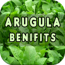 Arugula Benefits APK