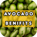 Avocado Benefits APK