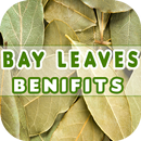 Bay Leaves Benefits APK