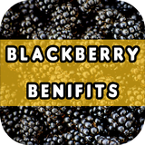 Blackberry Benefits-icoon