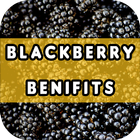 Blackberry Benefits biểu tượng