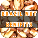Brazil nut Benefits APK