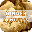Ginger Benefits APK