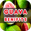 Guava Benefits APK