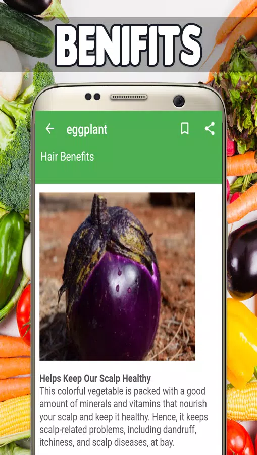 Eggplant Benefits APK for Android Download Eggplant Benefits APK for Android Download