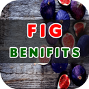Fig Benefits APK