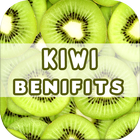 Avantages Kiwi icône