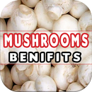 Mushroom Benefits APK