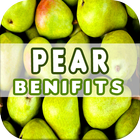 Pear Benefits icono