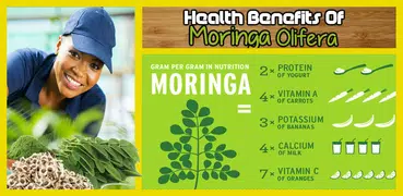 Health Benefits of Moringa Leaves