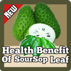 Health Benefit Of Soursop+Leaf icône