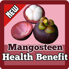 Mangosteen Health Benefits biểu tượng