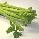 Wonderful health benefits of celery APK