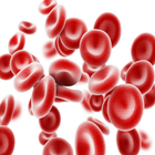 علاج فقر الدم icon