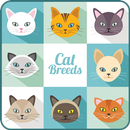 Cat Breed: Somali, Rex, burmese, mountain cat info APK