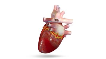 VR Human Heart تصوير الشاشة 1