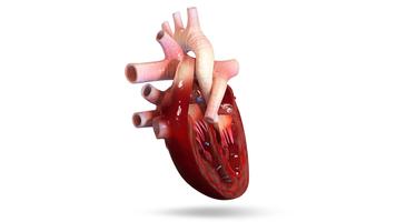 VR Human Heart syot layar 2