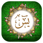 Surah Yaseen icon