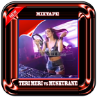 DJ Teri Meri Breakbeat Mixtape 2018 icon