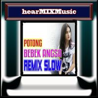 DJ Remix Potong Bebek Jomblo - Cita Citata Affiche