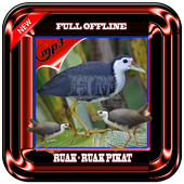 Mp3 Ruak Ruak Pikat Offline For Android Apk Download