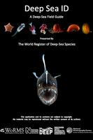 Deep Sea ID poster