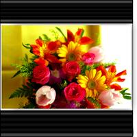 Flower Wallpapers For Chat Plakat