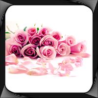 برنامه‌نما Flower Wallpapers For Chat عکس از صفحه