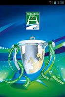 The Heineken Cup Affiche