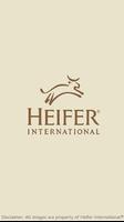 Heifer International®--BHS plakat