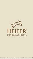 Heifer International®--BHS ポスター