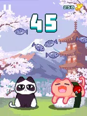 download Nom Cat APK