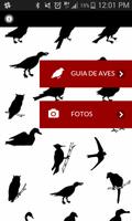 Aves Del Retiro plakat