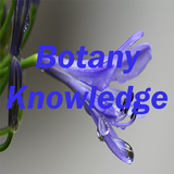 Botany icône