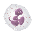 HemCIS Hematology Calculator icon