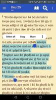Yoruba Bible screenshot 1