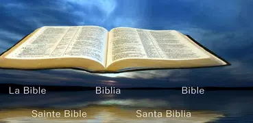 Living Bible (Modern English)