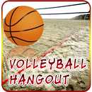 Volleyball 3D Game APK