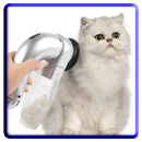 APK Cat Haircut Models