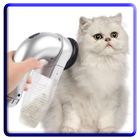 Cat Haircut Models ikon