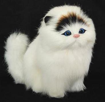 Model Potongan Rambut Kucing For Android Apk Download