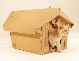 Nouvelle maison de chat Affiche