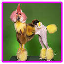 APK Dog haircut style