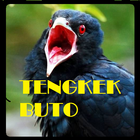 Kicau Tengkek Buto Lengkap icon