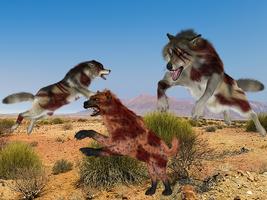 Wolf VS Hyena ภาพหน้าจอ 1
